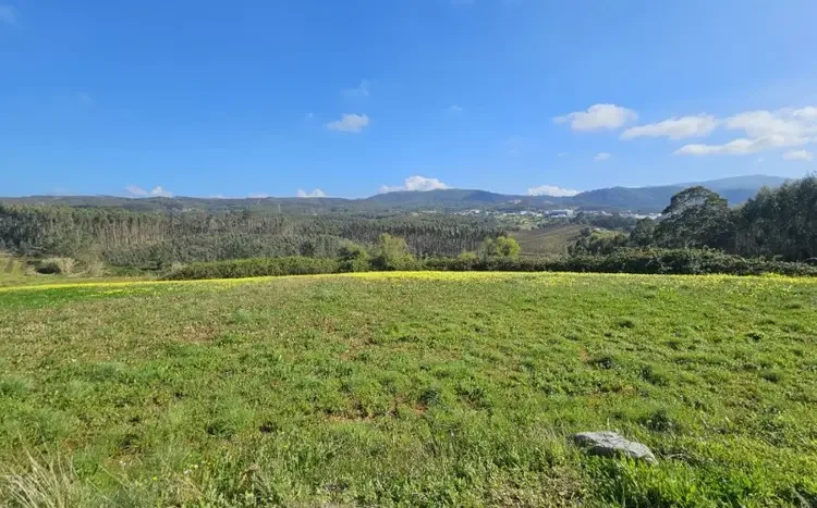 Modern Home For Sale