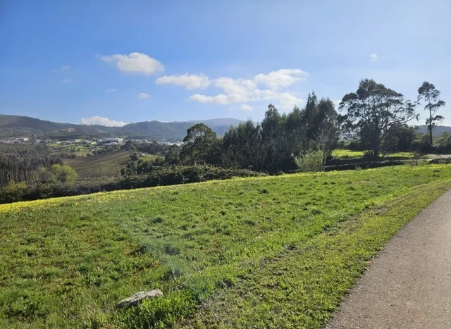 Modern Home For Sale