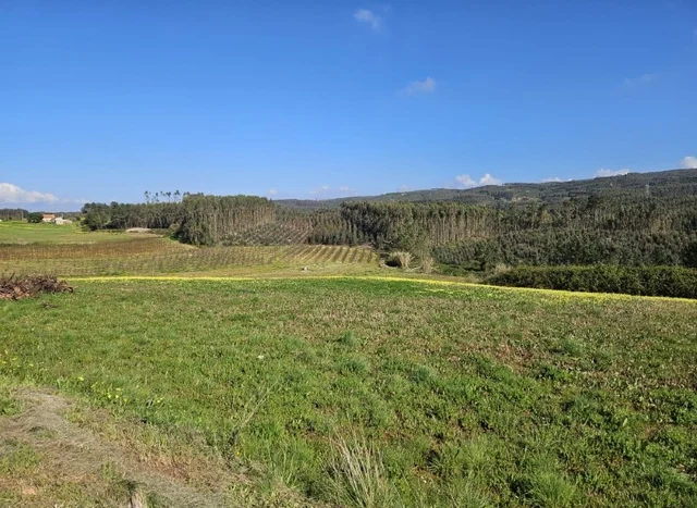 Modern Home For Sale