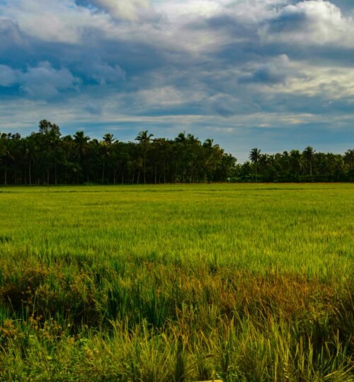 Terreno Urbano com Potencial de Construção em Sintra
